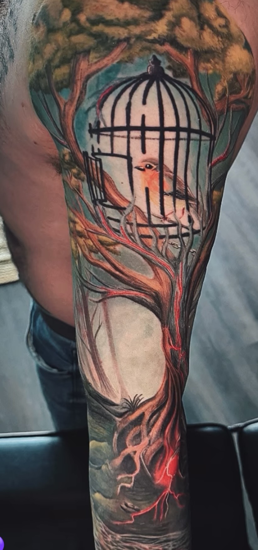 Color realism birdcage tree sleeve tattoo by Stax